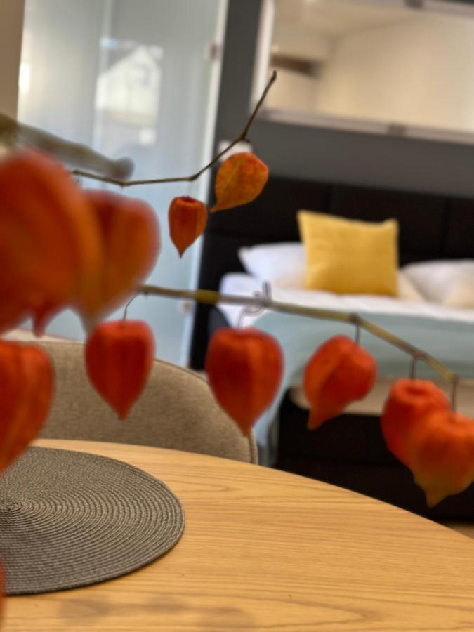 Studio Apartman Kőszeg المظهر الخارجي الصورة
